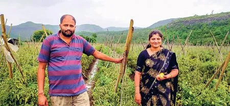 पुणे में अपने खेत में पत्नी के साथ किसान ईश्वर गायकर। - प्रेट्र