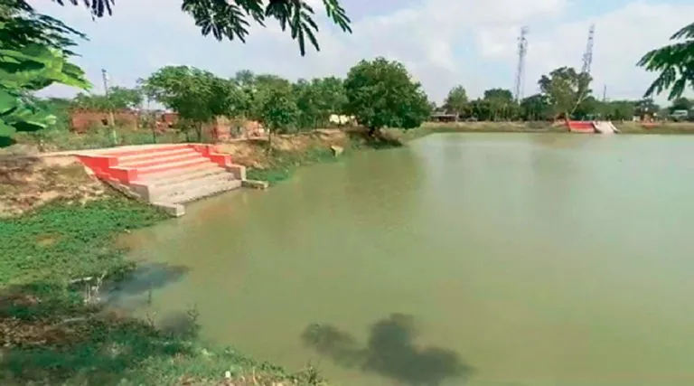 हरियाणा के एक गांव के तालाब का विहंगम दृश्य। (फाइल फोटो)